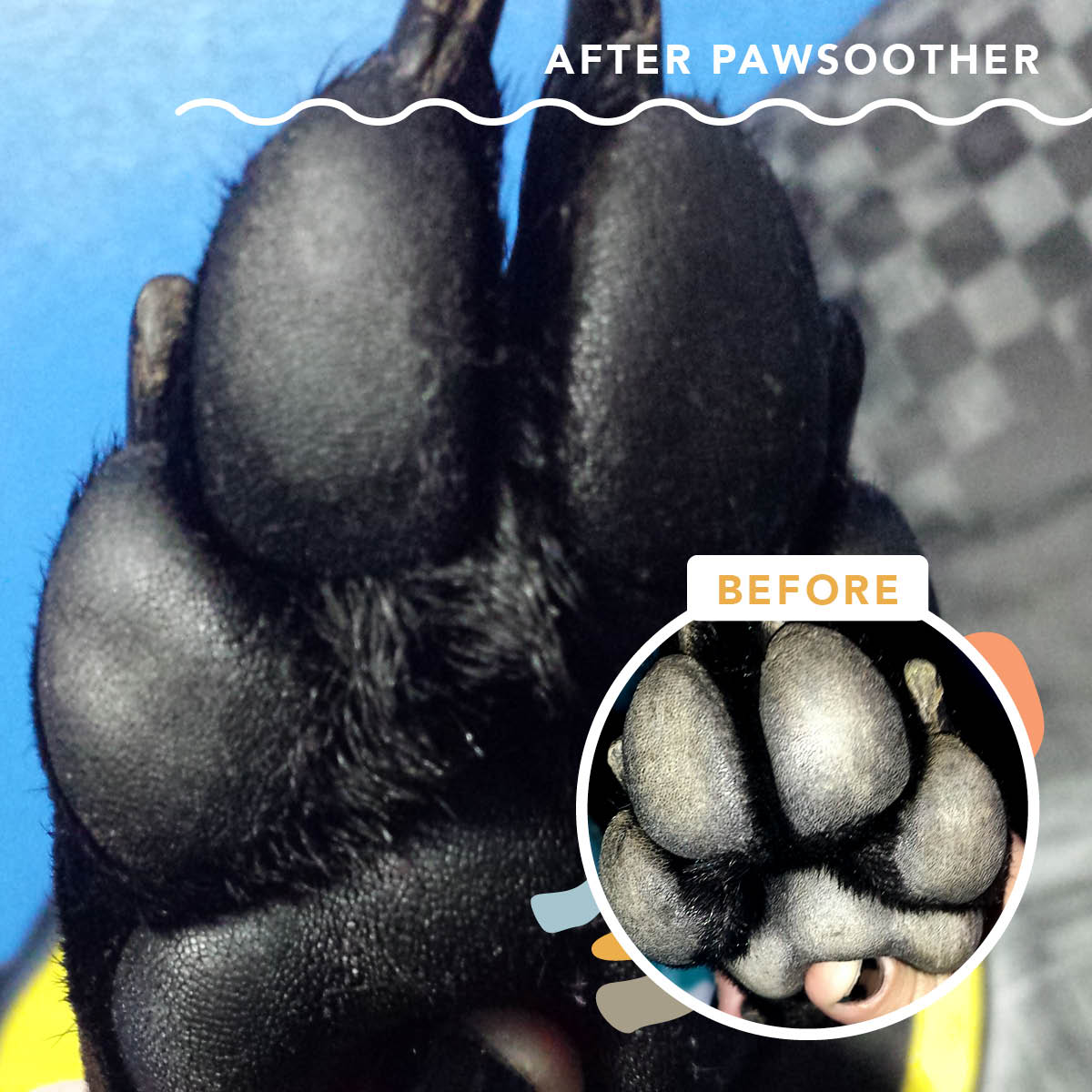 Natural Dog Company-Paw Soother® (2 Oz)