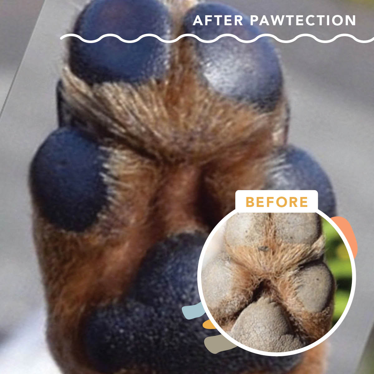 Natural Dog Company- PawTection (2 Oz)