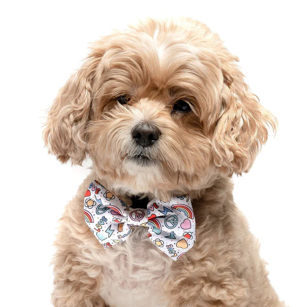 DAPPER DEXTER Velcro Bow Tie
