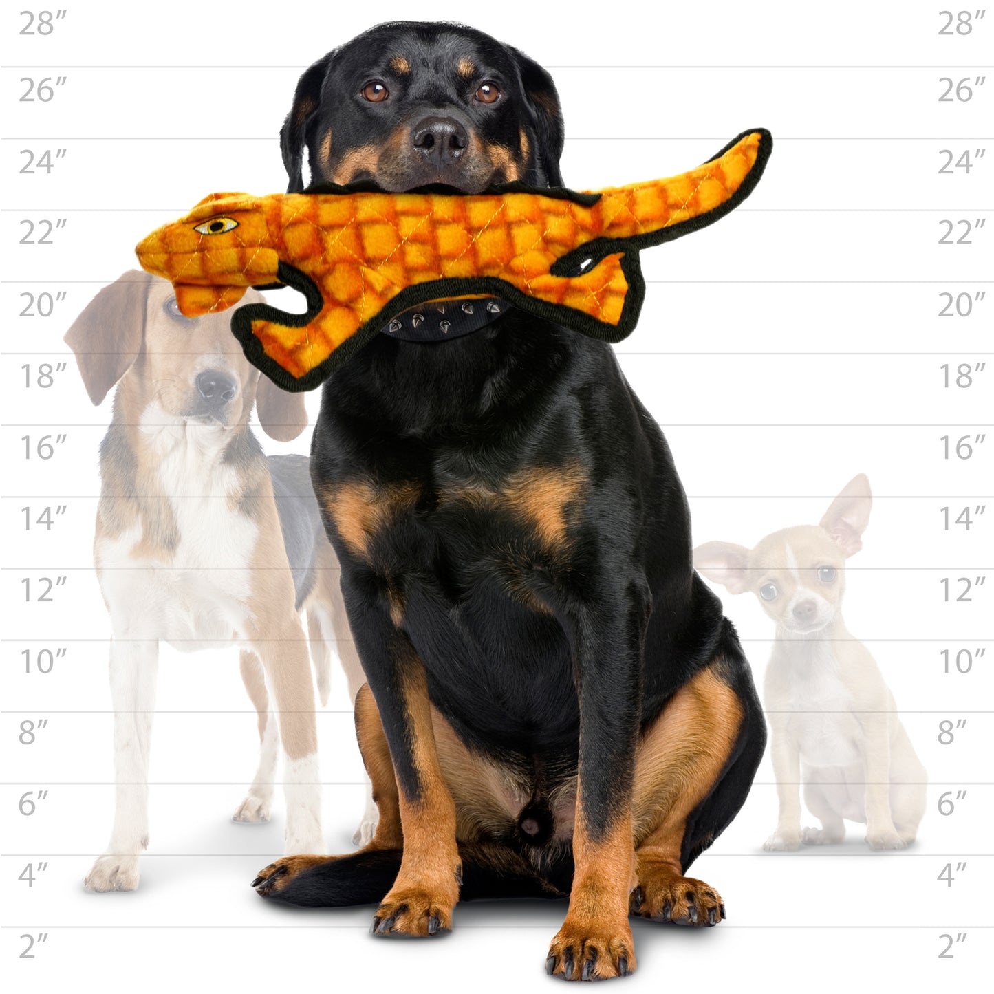 Tuffy® Desert: Gila Monster