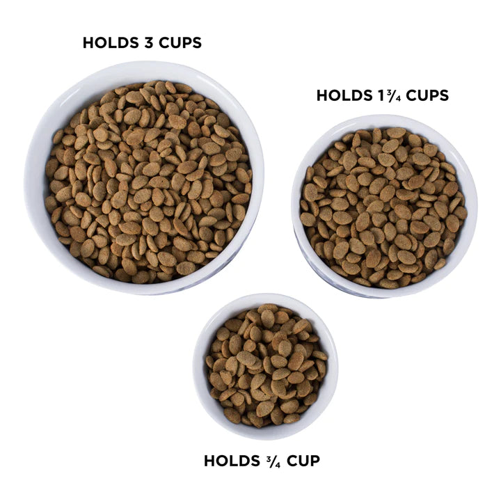Bone Dry Trellis Pet Bowl (Set of 2)